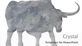  Presentation with metal - Slide deck having metal-bull-with-big-horns background and a white colored foreground