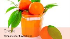  Presentation with tropical fruit - Cool new PPT theme with metal orange bucket of fresh ripe mandarins isolated on white background natural dessert tropical fruit diet concept backdrop and a gold colored foreground