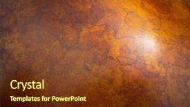  Presentation with shot - Theme having macro shot of bronze shinny background and a tawny brown colored foreground