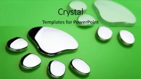  Presentation with paw - Beautiful presentation theme featuring metallic paw print on green backdrop and a seafoam green colored foreground