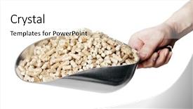  Presentation with industrial waste - Audience pleasing PPT theme consisting of man holding a metallic scoop full of wood pellets wood pellets made from industrial wood waste and are used for fuel backdrop and a white colored foreground
