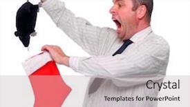  Presentation with bonus - Cool new presentation with metaphor the rat is unauthorized backdrop and a soft green colored foreground