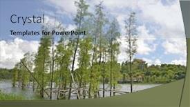 Presentation with pond - Beautiful slide deck featuring metasequoia-grow-in-pond backdrop and a light blue colored foreground