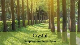  Presentation with trees - Audience pleasing PPT layouts consisting of metasequoia-trees-in-a-row backdrop and a yellow colored foreground