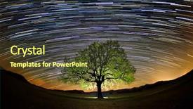  Presentation with tree silhouette - Beautiful slide deck featuring meteor - beautiful sky at night backdrop and a tawny brown colored foreground