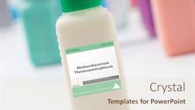  Presentation with organic waste - PPT theme featuring methanobacterium-thermoautotrophicum-bacteria-used background and a lemonade colored foreground