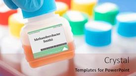  Presentation with carbohydrates - PPT layouts enhanced with methanobrevibacter-smithii-this-methanogenic-archaeon background and a coral colored foreground