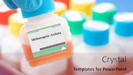  Presentation with carbohydrates - Presentation having methanogenic-archaea-these-microorganisms-live background and a coral colored foreground