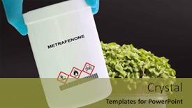  Presentation with diseases - PPT theme featuring metrafenone-a-fungicide-used background and a gold colored foreground