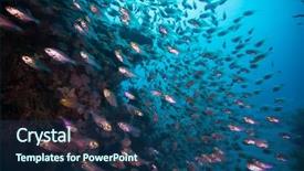  Presentation with sea glass - Presentation having mettings - bunch of glass-fish met background and a  colored foreground