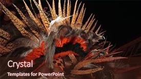  Presentation with celebration project - Presentation having meu boi celebration every solstice background and a tawny brown colored foreground