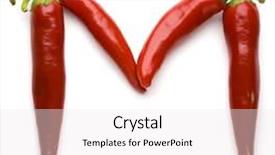  Presentation with mexican culture - PPT layouts consisting of mexican culture - close up view background and a  colored foreground