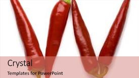  Presentation with mexican culture - Slides consisting of mexican culture - close up view background and a coral colored foreground