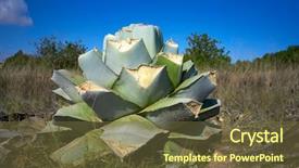  Presentation with mediterranean - Audience pleasing PPT layouts consisting of mexican desert - agave pitera cut plant backdrop and a tawny brown colored foreground
