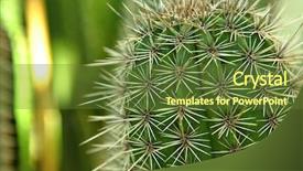  Presentation with cartoon cactus - Slide deck with mexican desert - cactus close up background and a tawny brown colored foreground