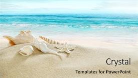  Presentation with shells - Colorful theme enhanced with mexican fiesta - shells on the beach backdrop and a soft green colored foreground