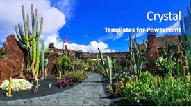  Presentation with cactus - Audience pleasing slide set consisting of mexican village - panoramic view of cactus garden backdrop and a cobalt blue colored foreground