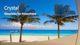  Presentation with palm tree - PPT layouts enhanced with mexican village - puerto morelos beach palm tree background and a teal colored foreground