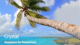  Presentation with cancun - Slide deck having mexico vacation - palm tree in tropical perfect background and a light blue colored foreground