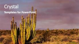  Presentation with california irrigation canals - Colorful presentation theme enhanced with mexique - cactus fields in mexico baja backdrop and a gray colored foreground
