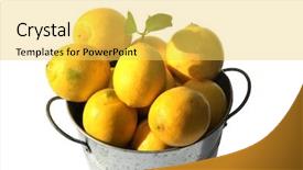  Presentation with lemons - Audience pleasing PPT layouts consisting of meyer organics - lemons lemons in a steel backdrop and a yellow colored foreground