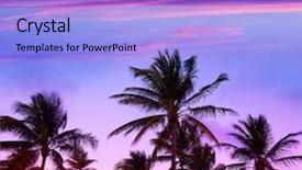 Presentation with miami beach - Colorful PPT theme enhanced with miami beach south beach sunset backdrop and a light blue colored foreground
