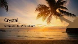  Presentation with palm leaves - Cool new PPT theme with miami heat - palm tree leaves over sunset backdrop and a yellow colored foreground