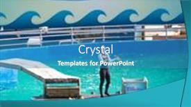  Presentation with killer whale - Presentation design with miami-us-december-8-2013 background and a teal colored foreground