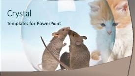  Presentation with kitten - PPT theme consisting of mice in a safe fish background and a sky blue colored foreground