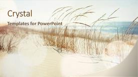  Presentation with southern beach grass - PPT layouts featuring michigan - dune grasses on the beach background and a cream colored foreground