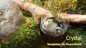  Presentation with cocktail black and white - Audience pleasing PPT layouts consisting of micology - black cocktail with rosemary backdrop and a  colored foreground