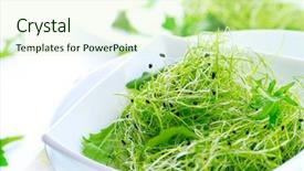  Presentation with salad - PPT theme consisting of micro market - microgreens healthy green salad little background and a soft green colored foreground