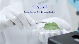  Presentation with green chemistry - Amazing PPT layouts having micro organisme - science chemistry biology and people backdrop and a sky blue colored foreground