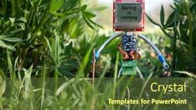  Presentation with robot - Amazing PPT layouts having micro-robot-in-spring-nature backdrop and a tawny brown colored foreground