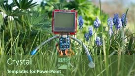  Presentation with robot - Cool new PPT theme with micro-robot-in-spring-nature backdrop and a tawny brown colored foreground