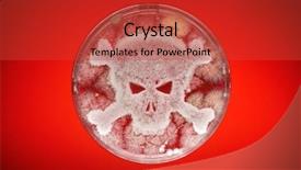 Presentation with microbial biotechnology - Presentation theme enhanced with microbial biotechnology - petri dish growing bacteria background and a red colored foreground