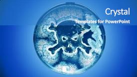  Presentation with petri dish - Beautiful presentation theme featuring microbial biotechnology - petri dish growing bacteria backdrop and a teal colored foreground