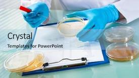  Presentation with germs - Theme having microbial testing - germs growing on an agar background and a light blue colored foreground