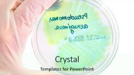  Presentation with microbial plate - Amazing presentation theme having microbial testing - hand in glove holding petri backdrop and a soft green colored foreground