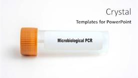  Presentation with pcr - PPT theme featuring microbiological-pcr-in-medical-lab background and a white colored foreground