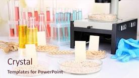  Presentation with food laboratory - Audience pleasing slides consisting of mouth opened with popped eye backdrop and a light gray colored foreground.