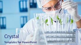  Presentation with biotechnology lab - Audience pleasing PPT theme consisting of microbiology - biotechnology concept with scientist backdrop and a light blue colored foreground