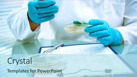  Presentation with germs - Cool new presentation with microbiology - germs growing on an agar backdrop and a sky blue colored foreground