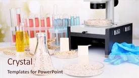  Presentation with food microbiology - Amazing presentation theme having microbiology - microbiological testing for food quality backdrop and a lemonade colored foreground