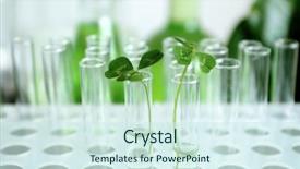  Presentation with microbiology - Beautiful slide deck featuring microbiology - plants in test tubes closeup backdrop and a cool aqua colored foreground