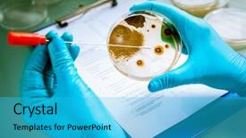  Presentation with microbiology fungi - Amazing PPT theme having microbiology fungi - germs growing on an agar backdrop and a cyan colored foreground