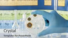  Presentation with microbiology fungi - Audience pleasing presentation consisting of microbiology fungi - mold growing in a petri backdrop and a light blue colored foreground