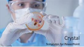  Presentation with microbiology fungi - Audience pleasing PPT theme consisting of microbiology fungi - scientist observation about petri dish backdrop and a light blue colored foreground