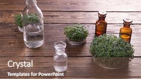  Presentation with vials - Audience pleasing PPT theme consisting of microgreens healthy eating concept science backdrop and a violet colored foreground