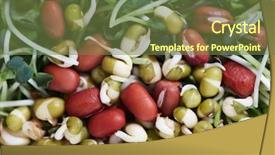  Presentation with health diet - Slide deck with microgreens salad with green fresh shoots health and diet background and a tawny brown colored foreground